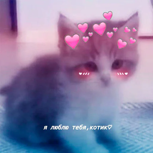 💜 Стикер «nya pack» для Telegram