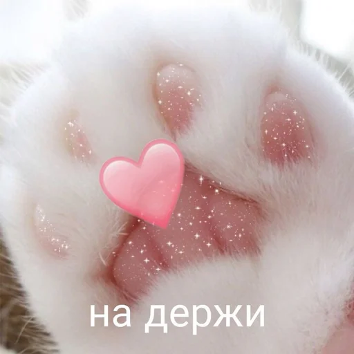 ❤️ Стикер «nya pack» для Telegram