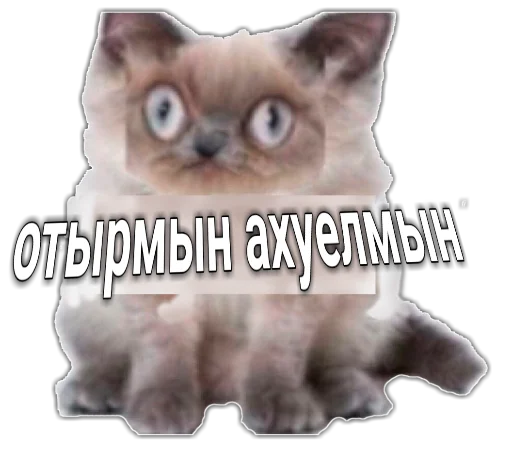 🤯 Стикер «шушун» для Telegram
