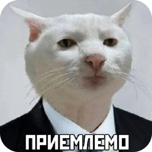 👍 Стикер «Ладно» для Telegram