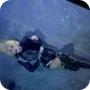 🧍‍♂️ Эмодзи «Lady Gaga» для Telegram
