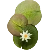 🤩 Эмодзи «nature lake emoji» для Telegram