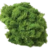 🤩 Эмодзи «nature lake emoji» для Telegram