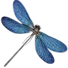 🤩 Эмодзи «nature lake emoji» для Telegram