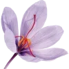 🤩 Эмодзи «nature lake emoji» для Telegram