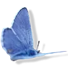 🦋 Эмодзи «Lamia (Punishing Gray Raven)» для Telegram