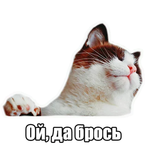 😙 Стикер «Лампово о стикерах» для Telegram