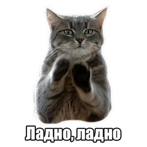 🥳 Стикер «Лампово о стикерах» для Telegram