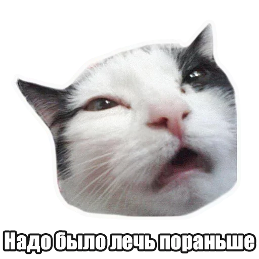 🤪 Стикер «Лампово о стикерах» для Telegram