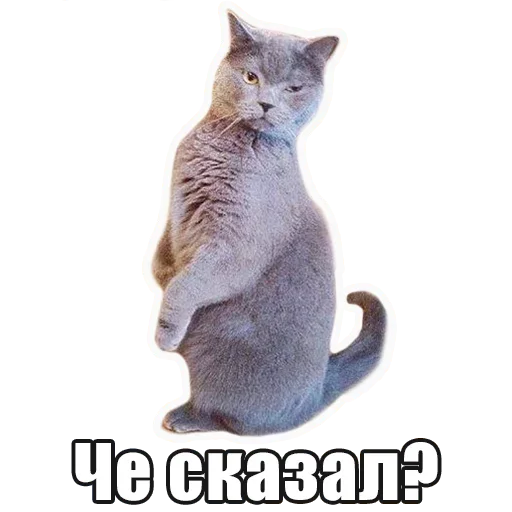 😚 Стикер «Лампово о стикерах» для Telegram