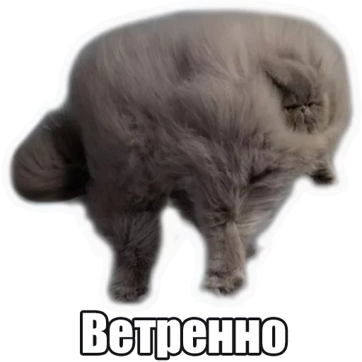 🤪 Стикер «Лампово о стикерах» для Telegram