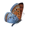 🦋 Эмодзи «🧸 Винтажные эмодзи» для Telegram