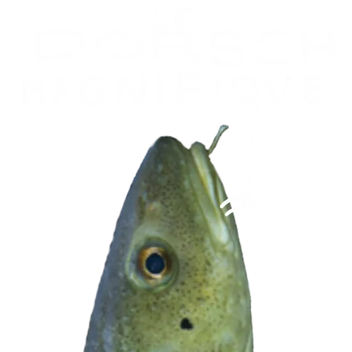 Стикерпак Le Dorsch magnifique для Telegram — скачать
