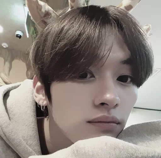 Стикерпак lee minho для Telegram — скачать