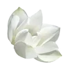 🪷 Эмодзи «ረ᥆ꫂ᥆ઽ» для Telegram