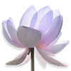 🪷 Эмодзи «ረ᥆ꫂ᥆ઽ» для Telegram