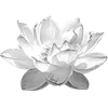 🪷 Эмодзи «ረ᥆ꫂ᥆ઽ» для Telegram