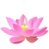 🪷 Эмодзи «ረ᥆ꫂ᥆ઽ» для Telegram
