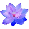🪷 Эмодзи «ረ᥆ꫂ᥆ઽ» для Telegram