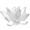 🪷 Эмодзи «ረ᥆ꫂ᥆ઽ» для Telegram