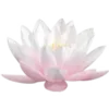 🪷 Эмодзи «ረ᥆ꫂ᥆ઽ» для Telegram