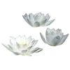🪷 Эмодзи «ረ᥆ꫂ᥆ઽ» для Telegram