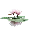 🪷 Эмодзи «ረ᥆ꫂ᥆ઽ» для Telegram