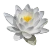 🪷 Эмодзи «ረ᥆ꫂ᥆ઽ» для Telegram