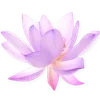 🪷 Эмодзи «ረ᥆ꫂ᥆ઽ» для Telegram