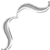 🦴 Эмодзи «White Emoji» для Telegram