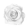 🦴 Эмодзи «White Emoji» для Telegram