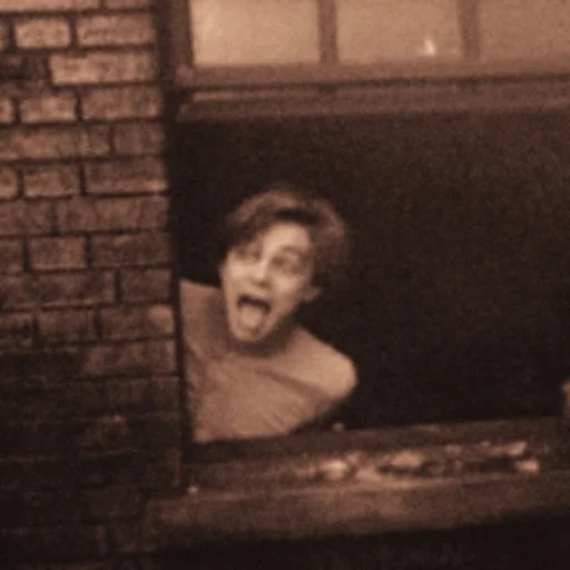 🌻 Стикер «𝙻𝚎𝚘𝚗𝚊𝚛𝚍𝚘 𝙳𝚒𝙲𝚊𝚙𝚛𝚒𝚘🌻» для Telegram