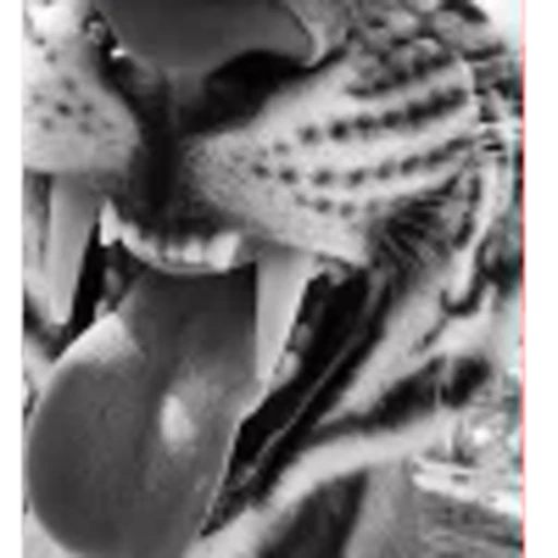 🤩 Эмодзи «leopard» для Telegram