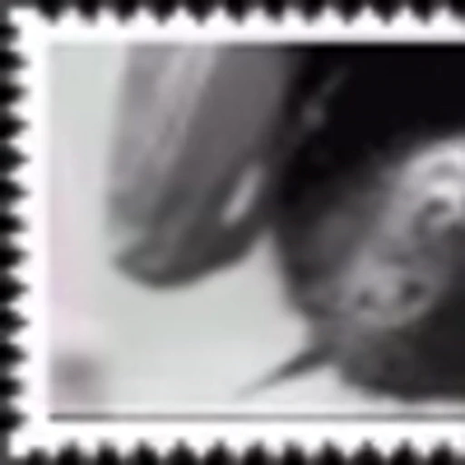 😳 Эмодзи «Stamp» для Telegram