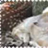 😎 Эмодзи «Stamp» для Telegram