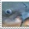 😳 Эмодзи «Stamp» для Telegram