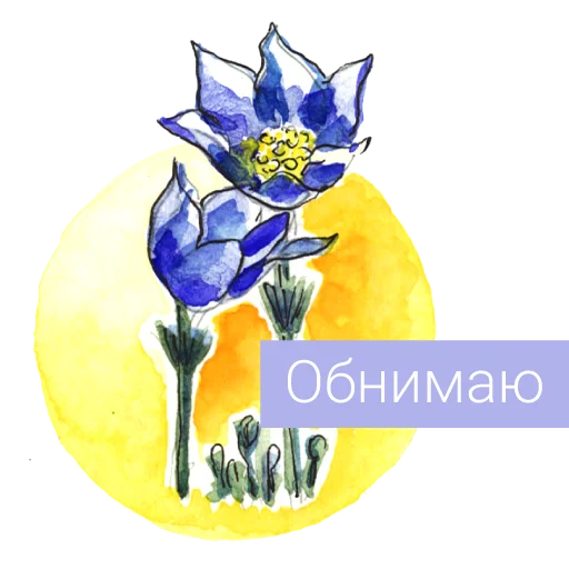 🤝 Стикер «Редкие растения России» для Telegram