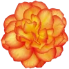 🌼 Эмодзи «Летние эмодзи» для Telegram