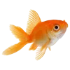 🐠 Эмодзи «Летние эмодзи» для Telegram