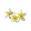 🌼 Эмодзи «Летние эмодзи» для Telegram