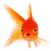 🐠 Эмодзи «Летние эмодзи» для Telegram