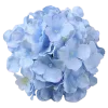 🌸 Эмодзи «Летние эмодзи» для Telegram
