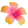 🌸 Эмодзи «С первым днём лета друзья&; Всем хорошего настроения и тёплых каникул» для Telegram