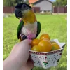 😍 Эмодзи «Птичьи Дичи» для Telegram