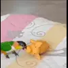 😍 Эмодзи «Птичьи Дичи» для Telegram