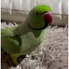 😍 Эмодзи «Птичьи Дичи» для Telegram