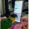 😍 Эмодзи «Птичьи Дичи» для Telegram