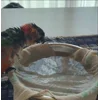 😍 Эмодзи «Птичьи Дичи» для Telegram