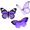 🦋 Эмодзи «Ʋισʅҽƚ ᵇʸ» для Telegram