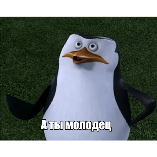 👍 Стикер «Пингвины» для Telegram